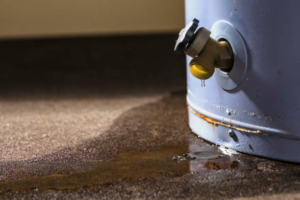 Best Basement water damage restoration  in Danville, AR