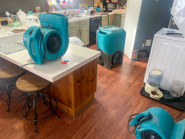Best Water damage restoration company  in Danville, AR