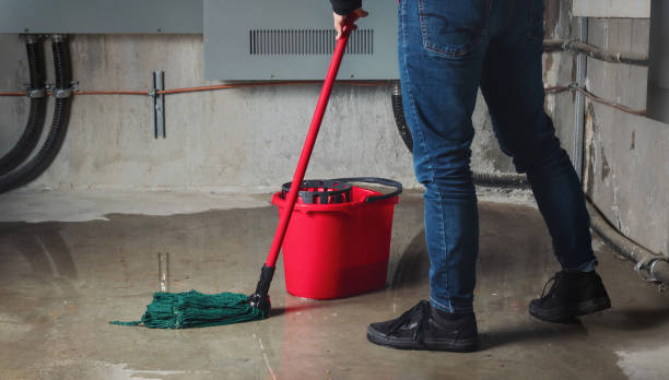 Best Flooded house restoration  in Danville, AR
