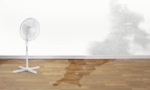 Best Carpet water damage restoration  in Danville, AR