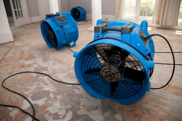 Best 24-hour water damage restoration  in Danville, AR