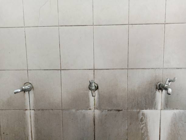 Best Fire Damage Restoration  in Danville, AR