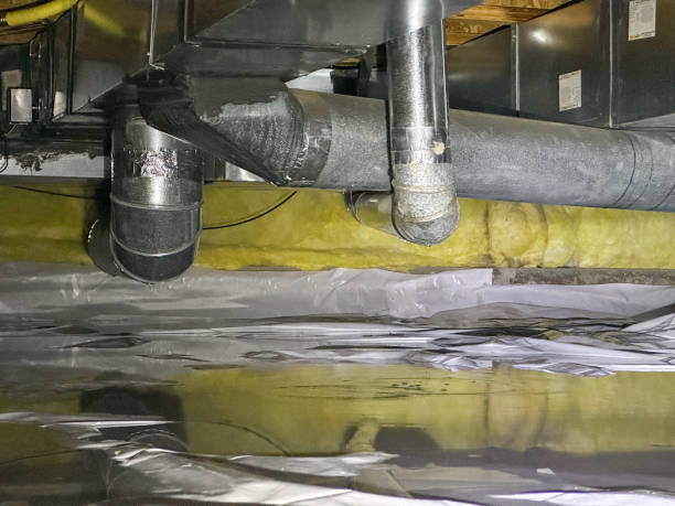 Best Water damage contractors near me  in Danville, AR