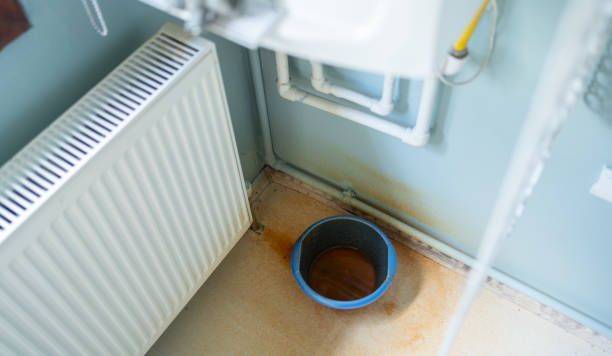 Best Water damage restoration near me  in Danville, AR