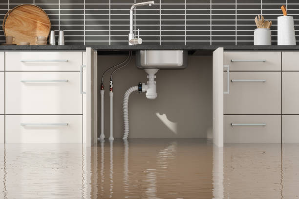 Best Commercial water damage restoration  in Danville, AR