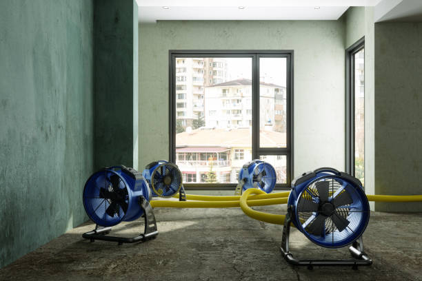 Best Emergency water damage restoration  in Danville, AR