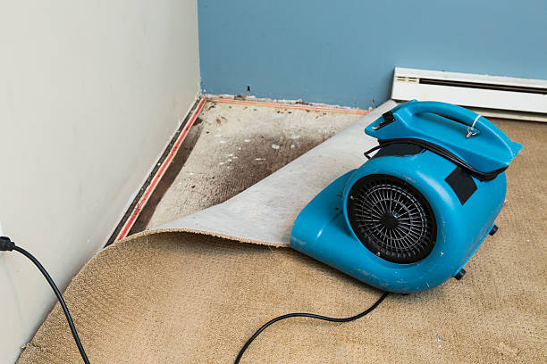 Best 24/7 water damage repair  in Danville, AR