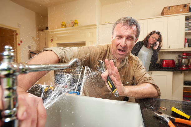 Best 24/7 water damage repair  in Danville, AR